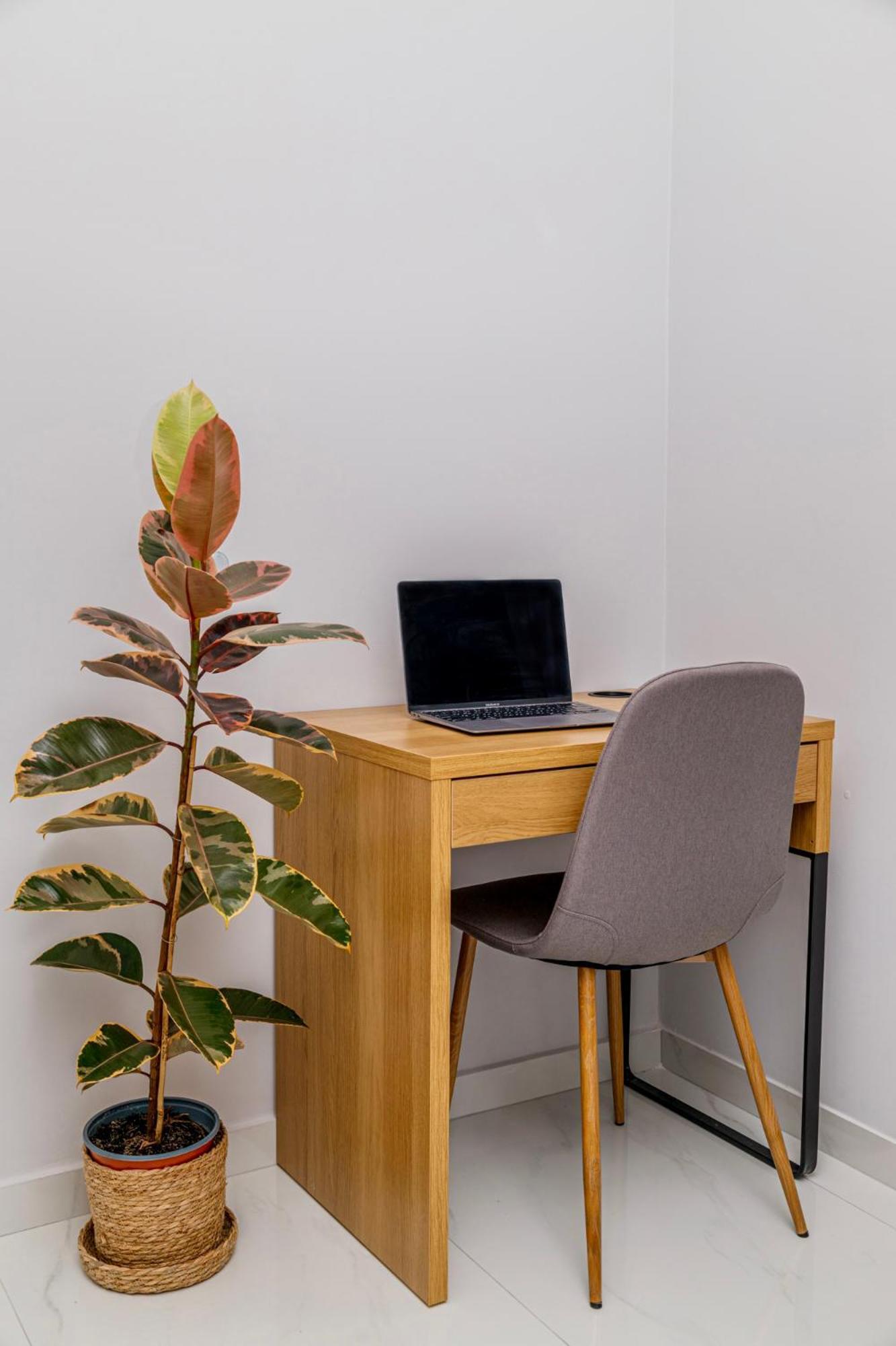Cozy Studio In The City Center Selanik Dış mekan fotoğraf